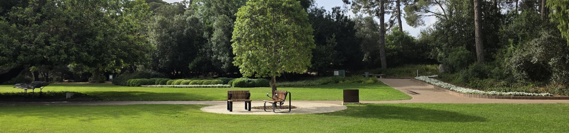 20250527_083508-aspect-ratio-x