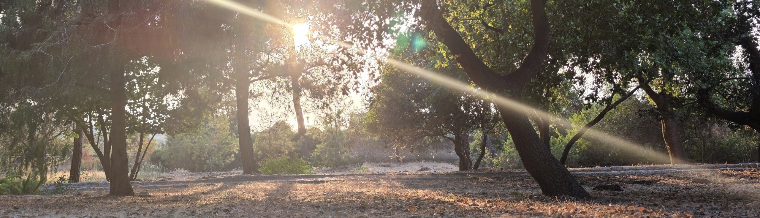 20250710_190710-scaled-aspect-ratio-x