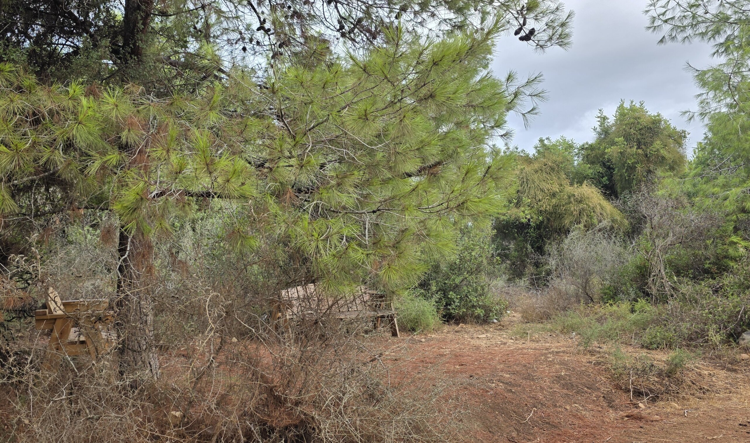 20251009_095723-scaled-aspect-ratio-x