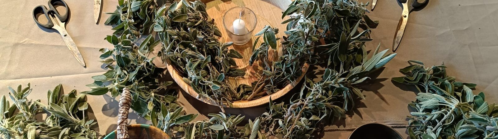 IMG-20240228-WA0050-aspect-ratio-x