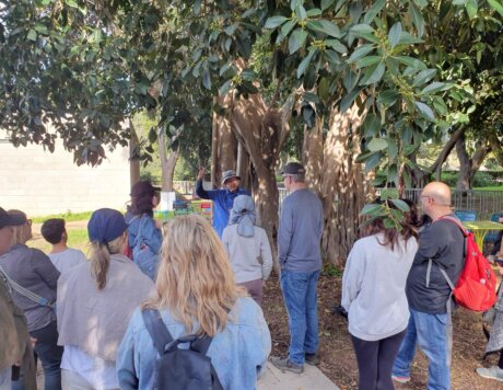 WhatsApp-Image-2023-12-16-at-14.04.56