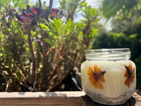 WhatsApp Image 2025-11-17 at 13.02.20