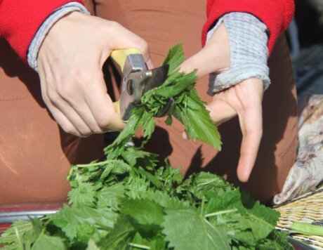 WhatsApp Image 2025-12-10 at 11.44.03 (2)