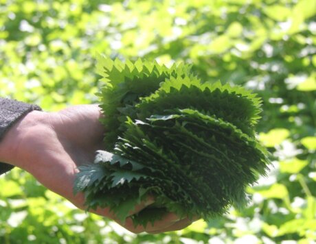 WhatsApp Image 2025-12-10 at 11.44.03 (3)