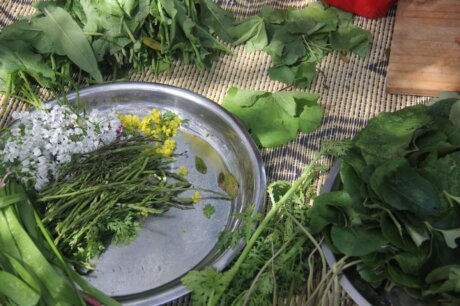 WhatsApp Image 2025-12-10 at 11.44.04 (1)