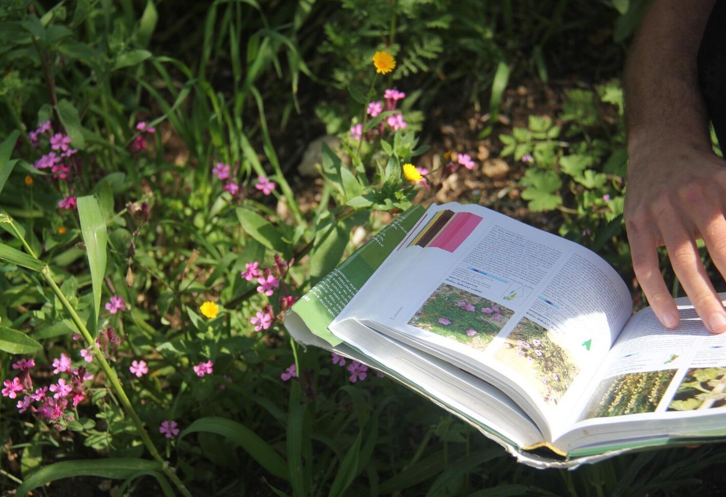 WhatsApp-Image-2025-12-10-at-11.44.04-2-aspect-ratio-x