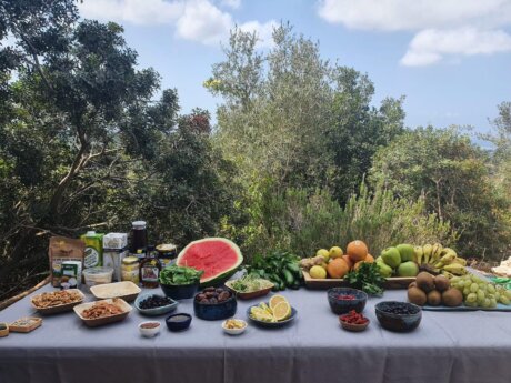 WhatsApp Image 2025-12-10 at 13.15.19 (1)