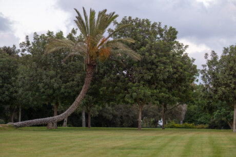 ????? ????? ???? ?????