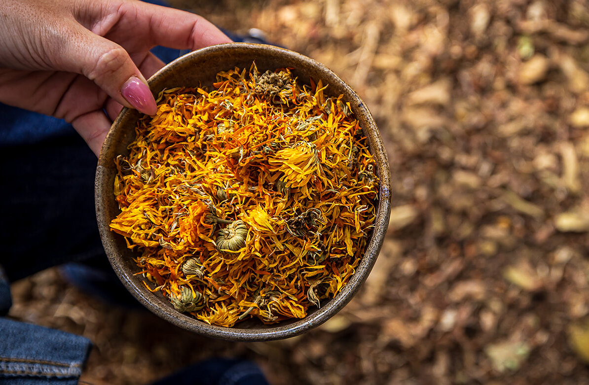 Yo-See-RH-584-aspect-ratio-x