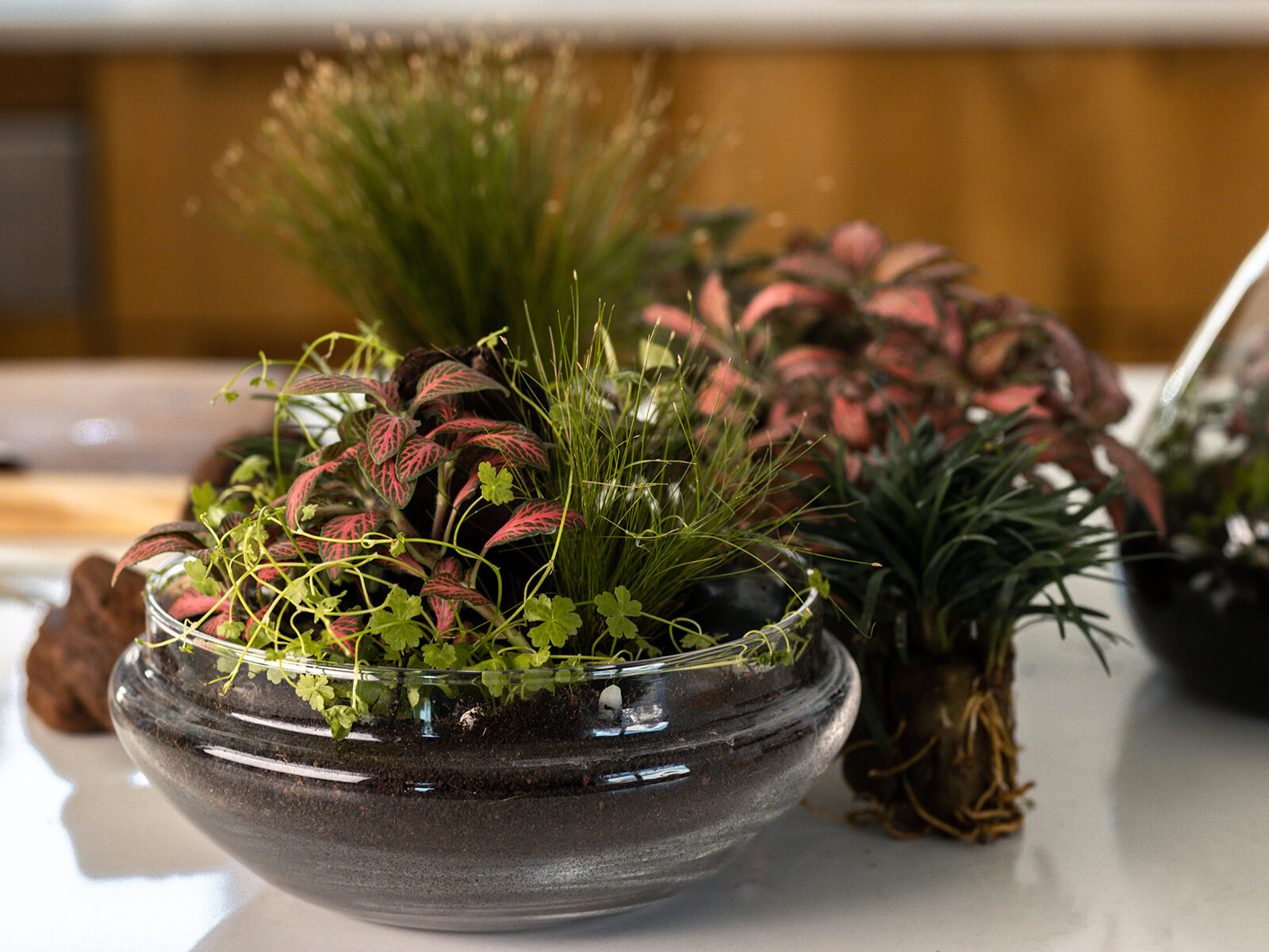 untitled-164-2-aspect-ratio-x