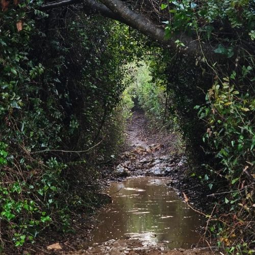 עיצוב ללא שם (13)