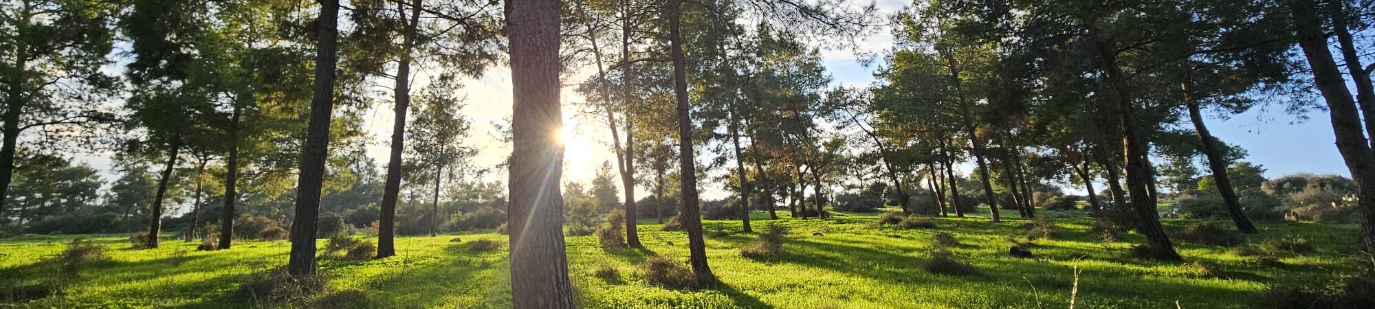 WhatsApp-Image-2025-12-13-at-13.27.36-aspect-ratio-x