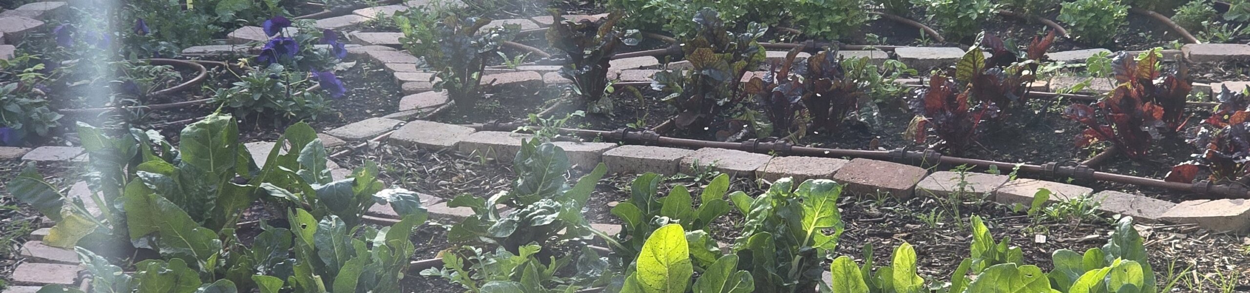 20260203_150421-scaled-aspect-ratio-x