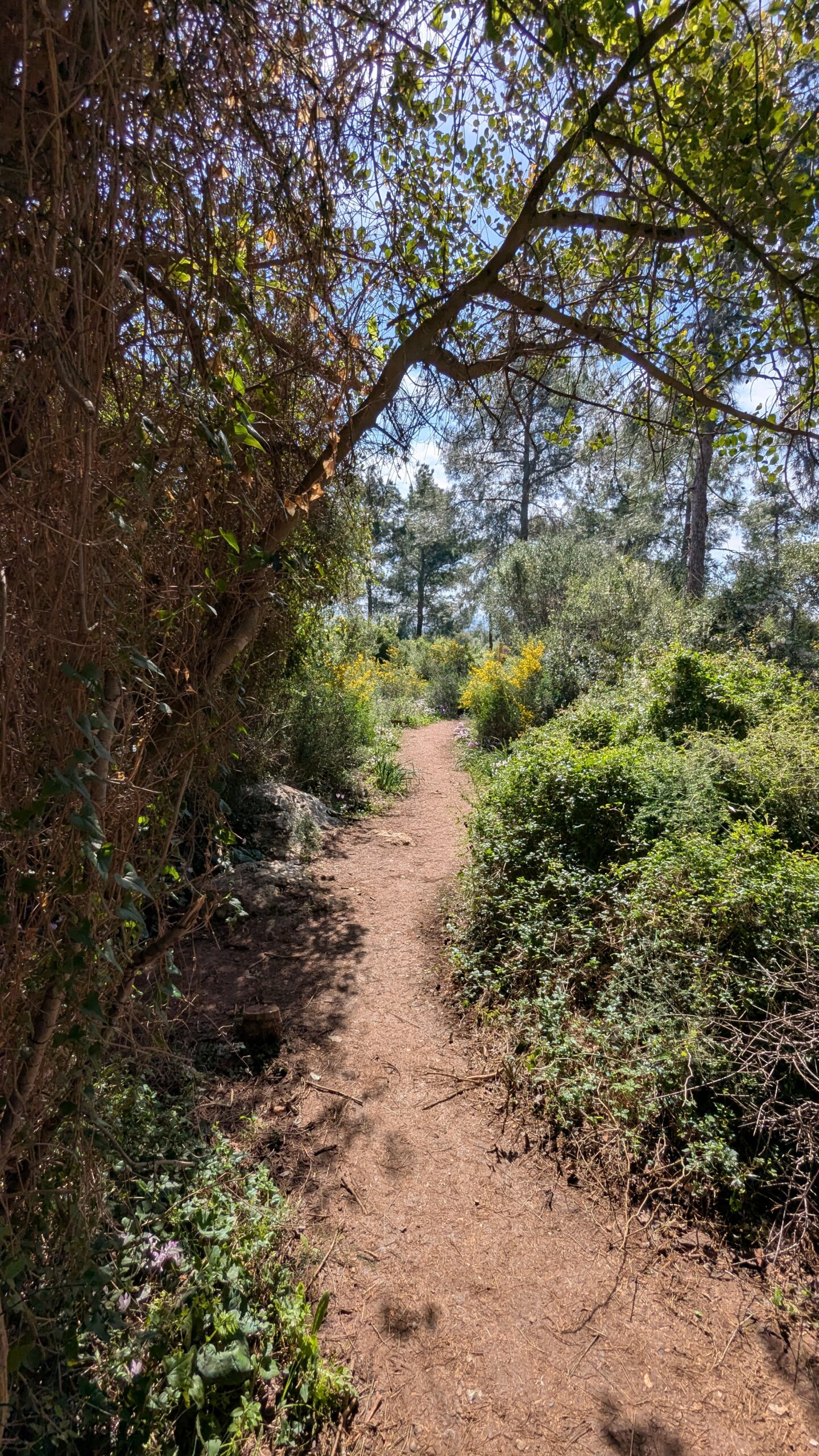 PXL_20250215_092412004