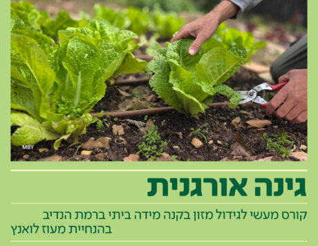 RH-ATR-ORGANIC-GARDEN-V3