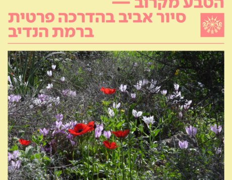 RN_SIUR_TEVA_SKZ_V33