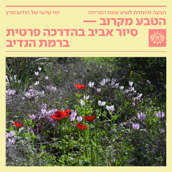 RN_SIUR_TEVA_SKZ_V33