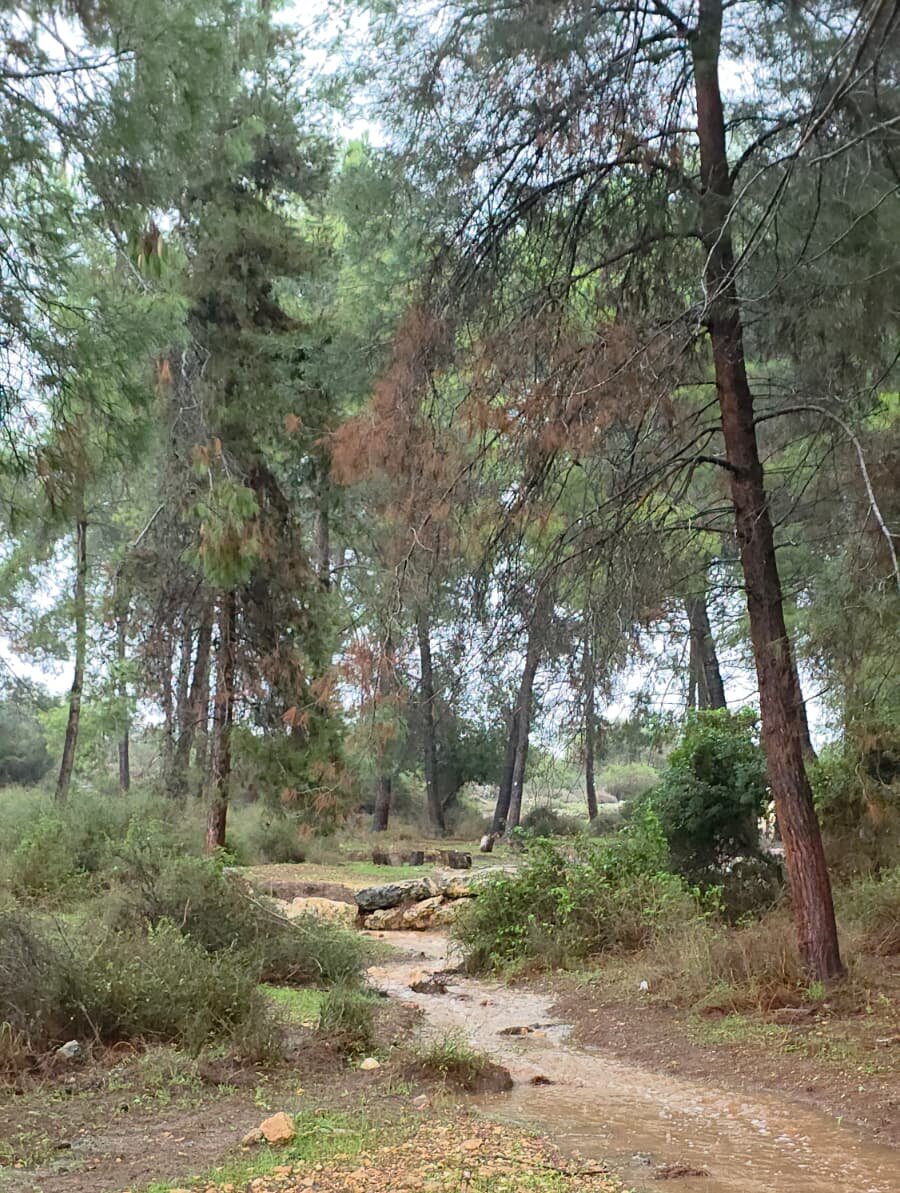 WhatsApp-Image-2025-12-11-at-14.04.45-aspect-ratio-x