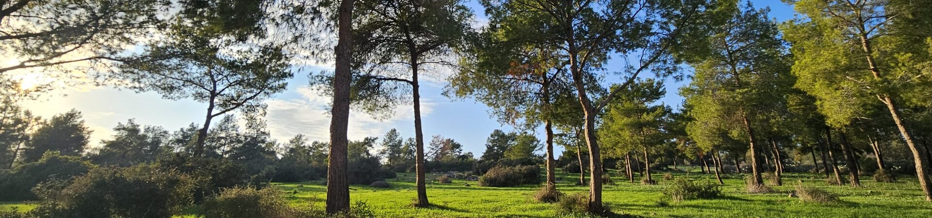 WhatsApp-Image-2025-12-13-at-13.27.28-aspect-ratio-x