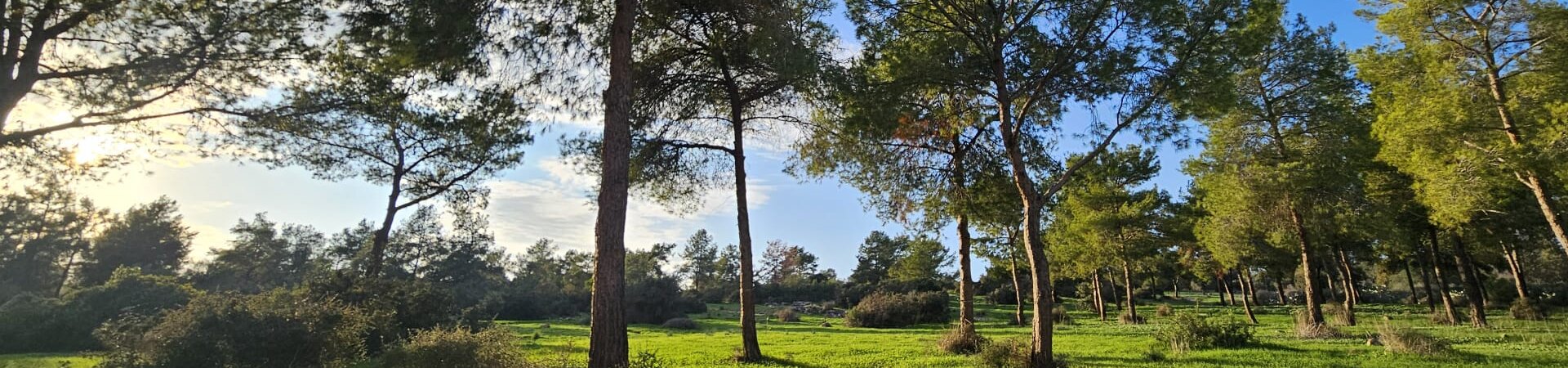 WhatsApp-Image-2025-12-13-at-13.27.28-aspect-ratio-x