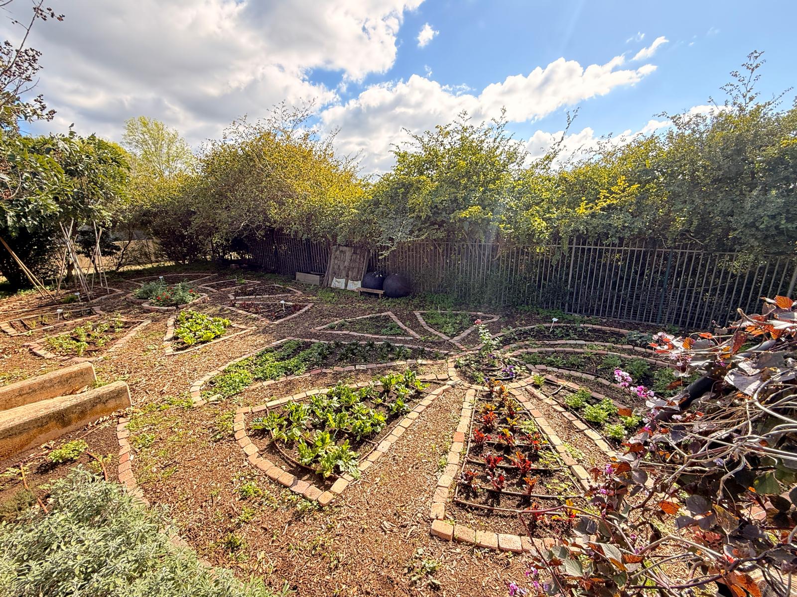 WhatsApp Image 2026-02-04 at 12.46.07 (4)