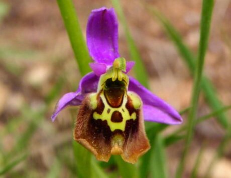 WhatsApp Image 2026-02-19 at 14.18.58