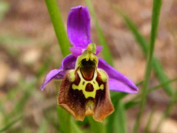 WhatsApp Image 2026-02-19 at 14.18.58