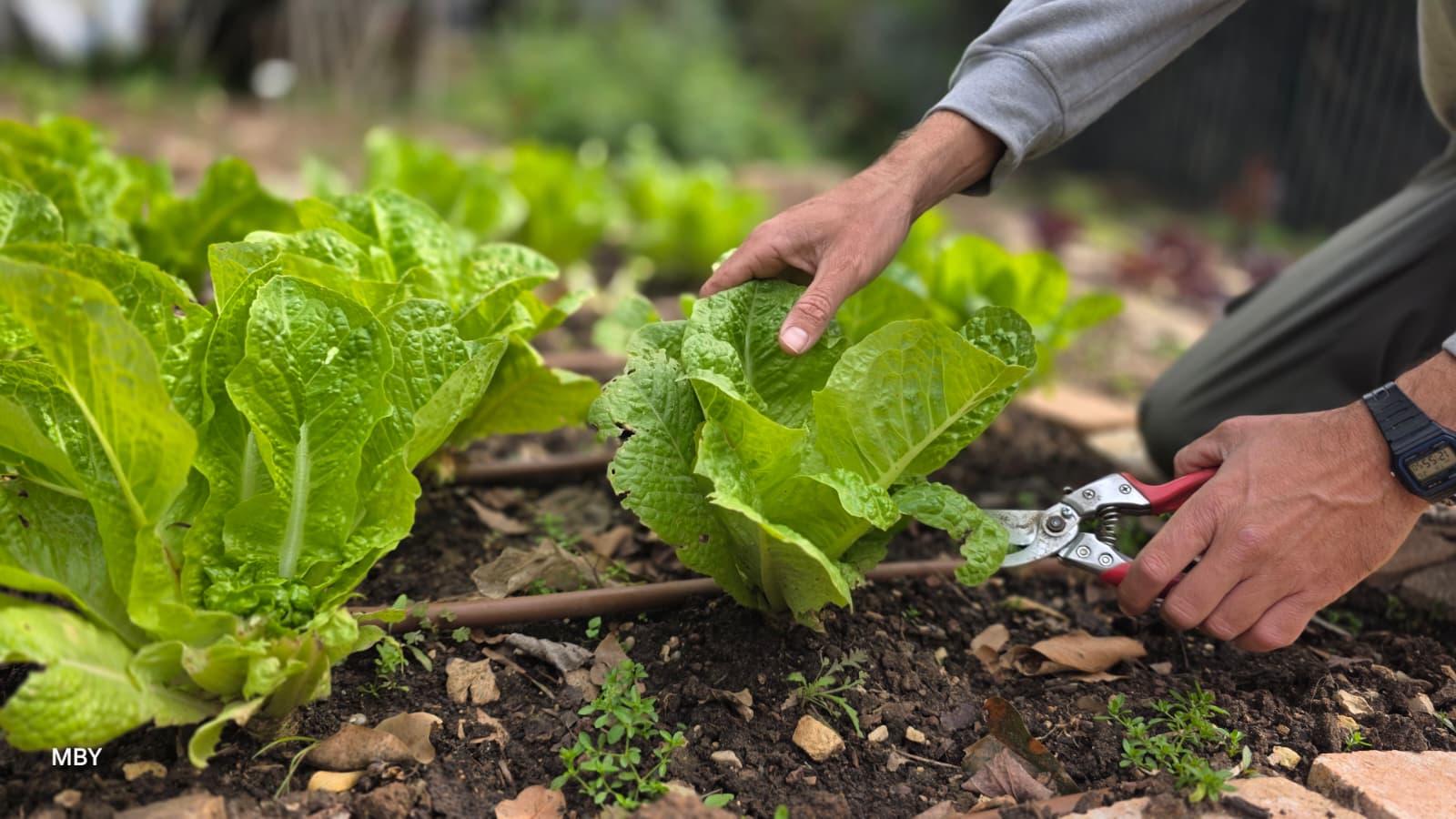 WhatsApp Image 2026-02-26 at 13.13.06 (1)