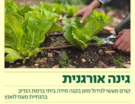 גינה אורגנית אוקטובר 2026