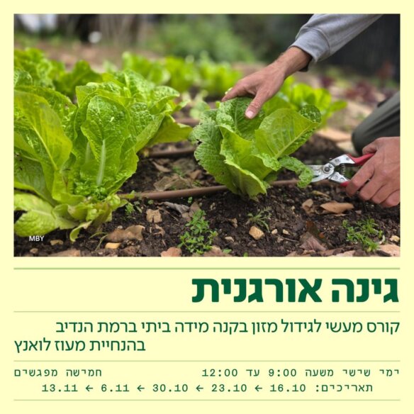 גינה אורגנית אוקטובר 2026