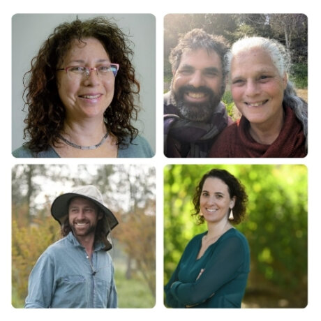 המנחים תמונת מוצר