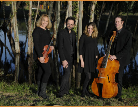 סולני בארוקדה - צילום - טל שחר