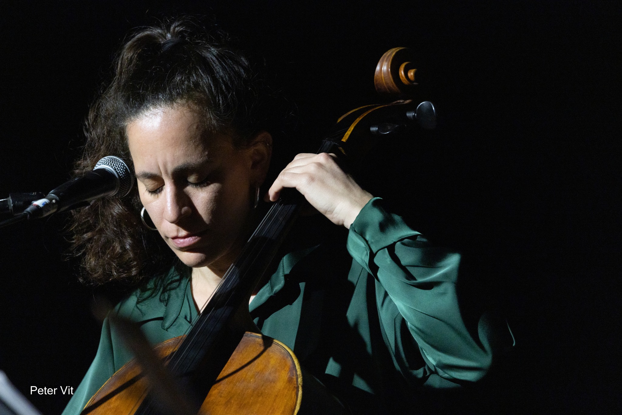 קונצרט 6- צילום - פטר ויט