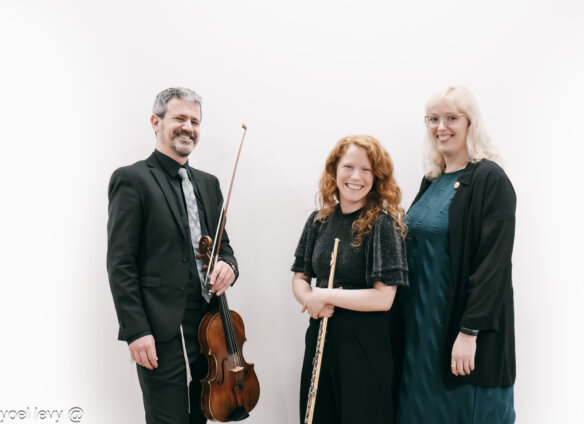 קונצרט 7- צילום - יואל לוי