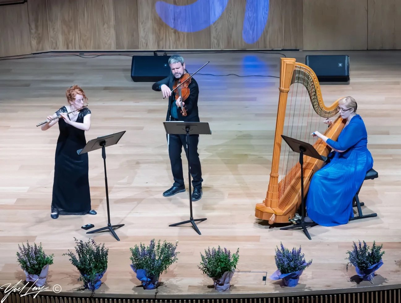 קונצרט 7 - קרדיט צילום - יואל לוי