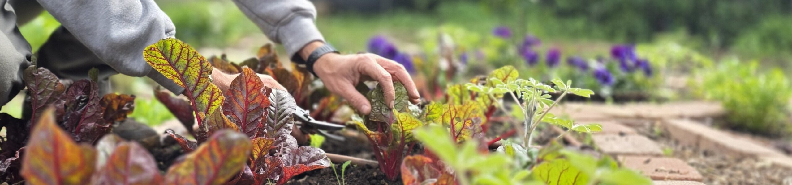 20260226_125640-scaled-aspect-ratio-x