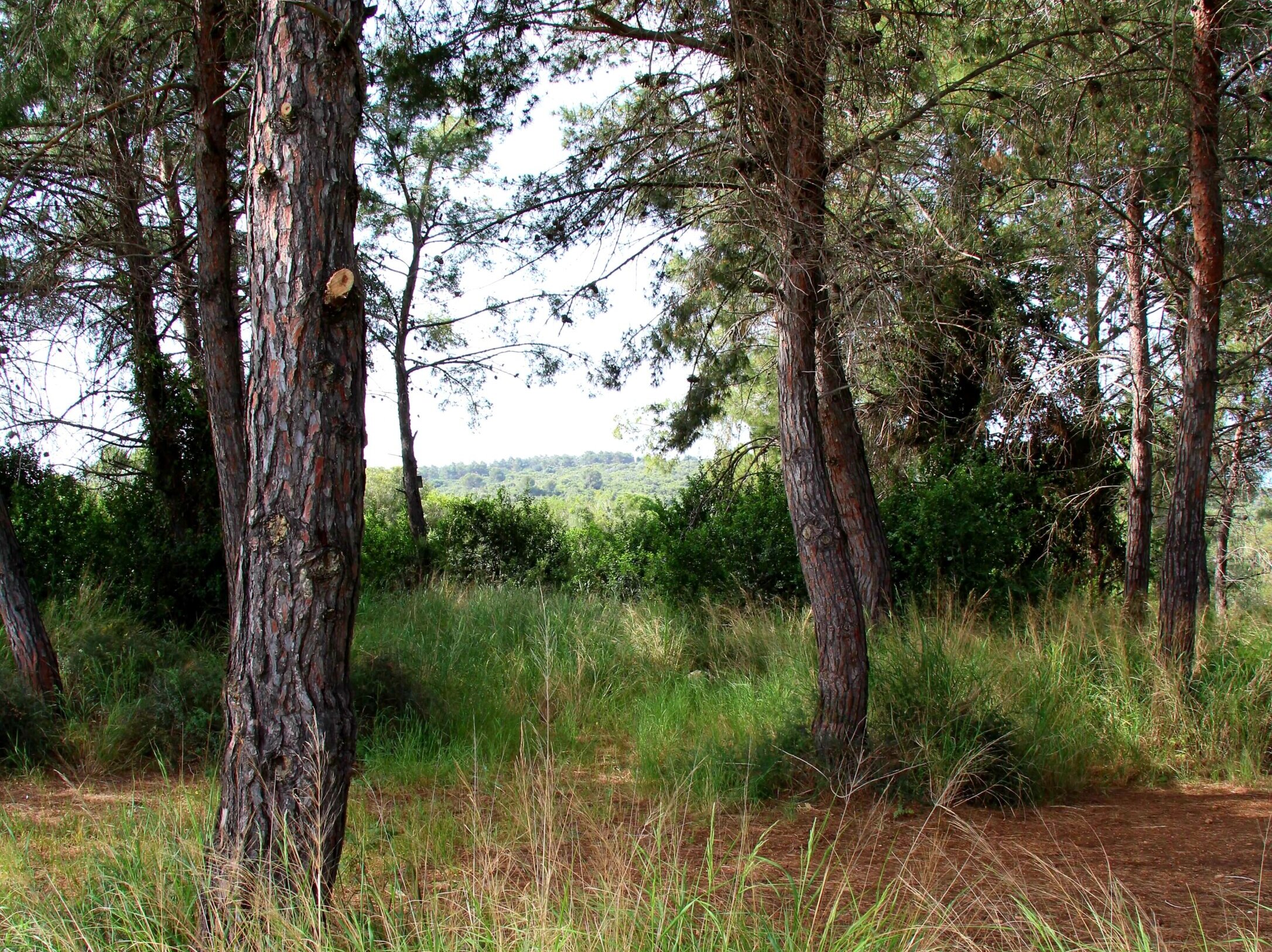 IMG_1460-aspect-ratio-x-1-scaled-1-aspect-ratio-x