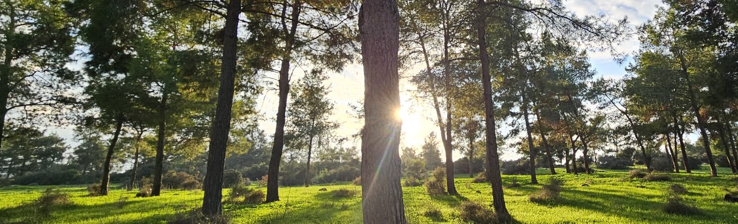 WhatsApp-Image-2025-12-13-at-13.27.36-aspect-ratio-x