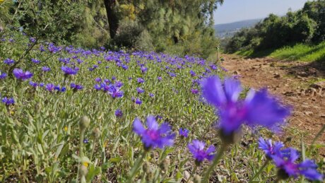 WhatsApp Image 2026-02-23 at 17.33.37