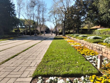 WhatsApp Image 2026-03-03 at 13.52.11 (1)