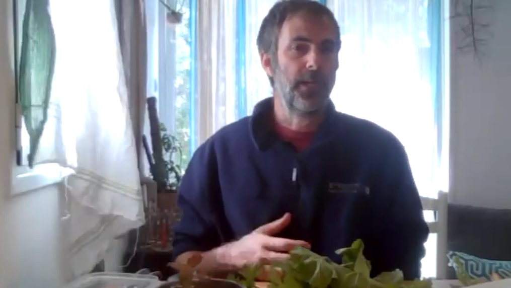 יחורים-קאבר-aspect-ratio-16x9