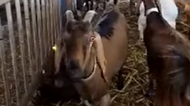 צילום-מסך-2026-03-31-105304-aspect-ratio-16x9