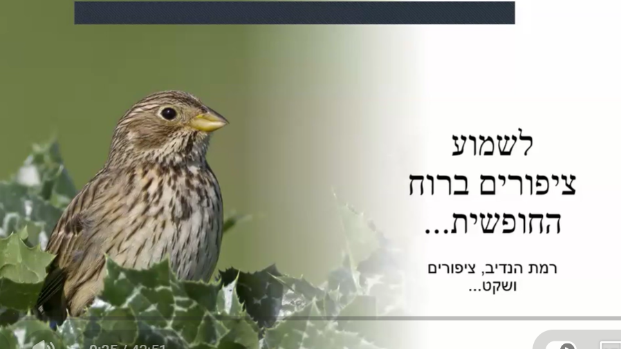 ציפורים-קאבר-aspect-ratio-16x9