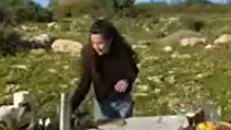 צמחי-מרפא-קאבר-aspect-ratio-16x9