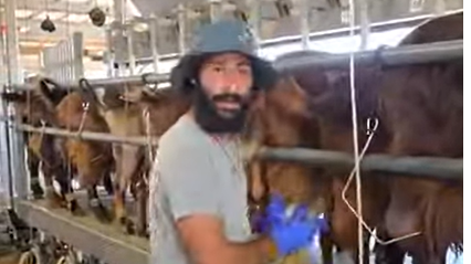 קאבר-חווה-aspect-ratio-16x9