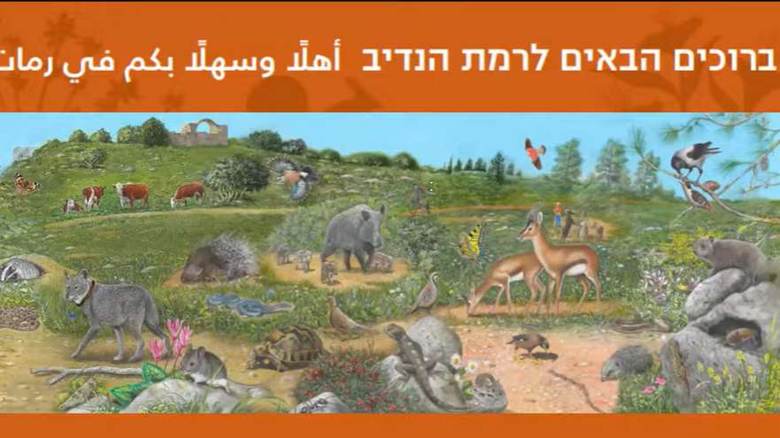 קאבר-טיול-בציור-aspect-ratio-16x9