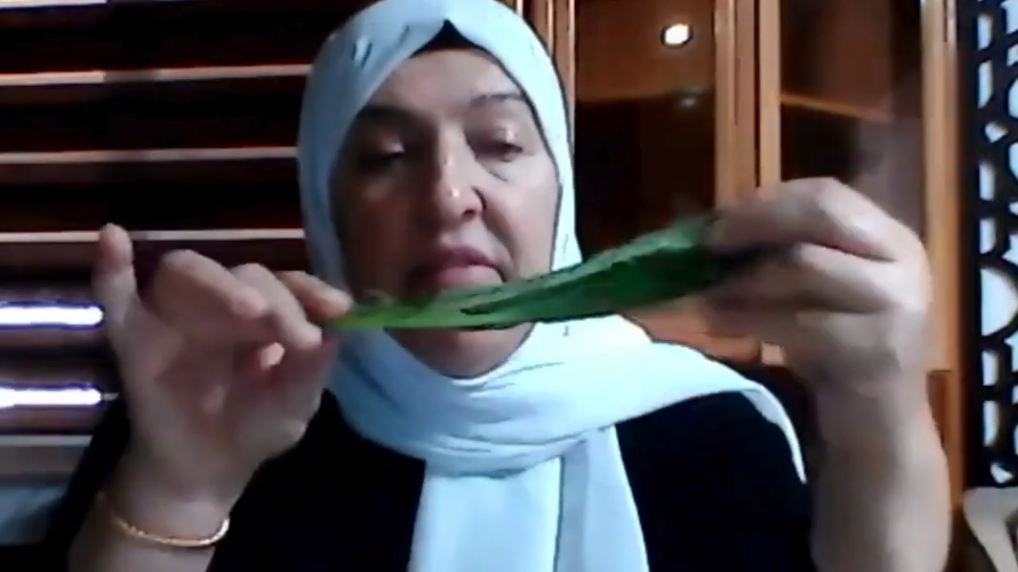 קאבר-ליקוט-ערבית-aspect-ratio-16x9