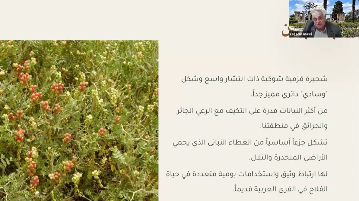 קאסם-מסרי-aspect-ratio-16x9