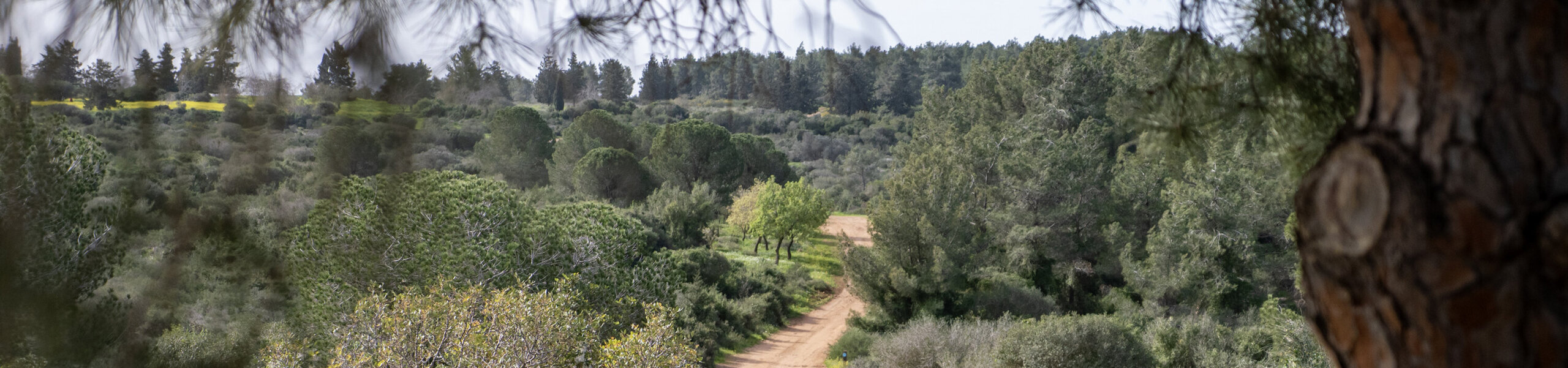 EranP_Trail-1-scaled-aspect-ratio-x