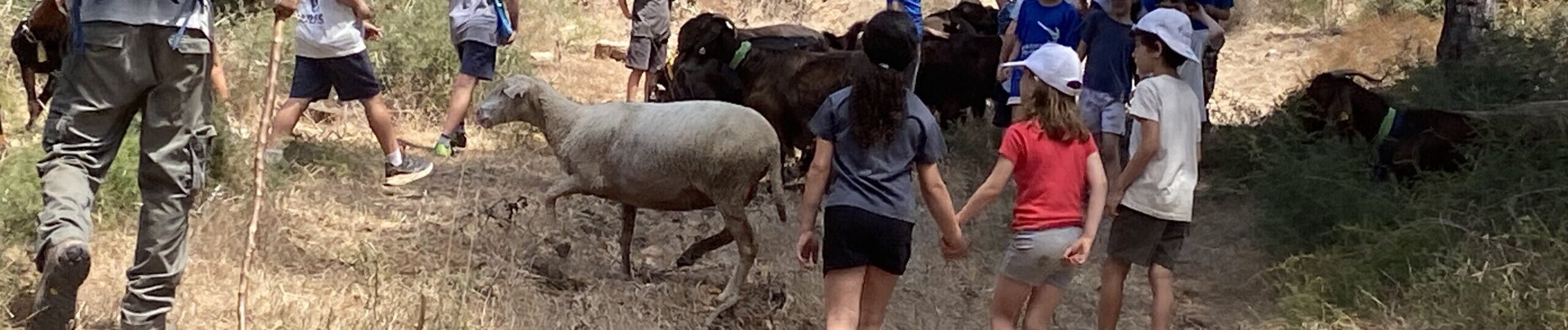 IMG_7835-scaled-aspect-ratio-x